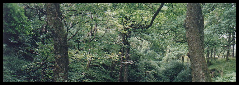 Glendalough